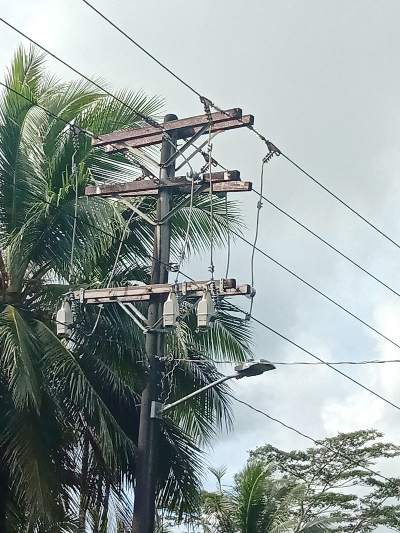 O Religador Tripsaver II está ajudando a PUC a evitar interrupções de serviço incômodas causadas por problemas comuns, como crescimento excessivo da vegetação.